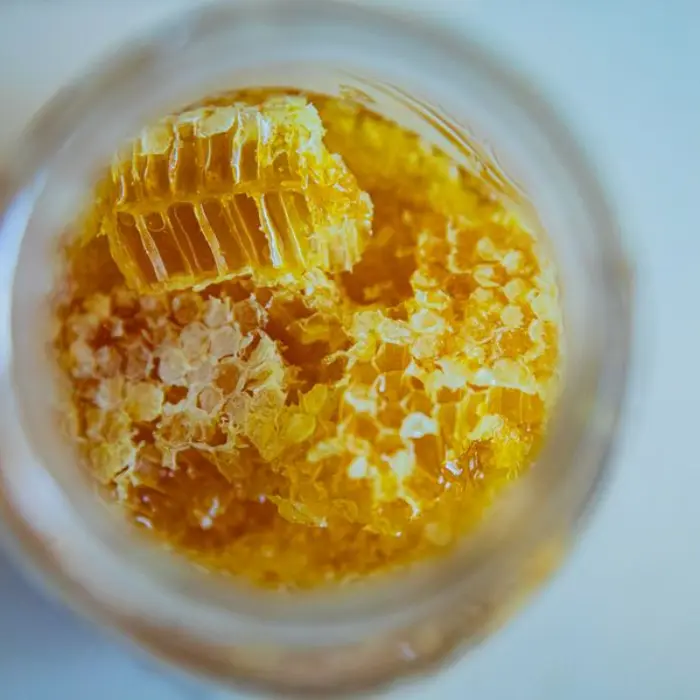 Organic Honey (500g)